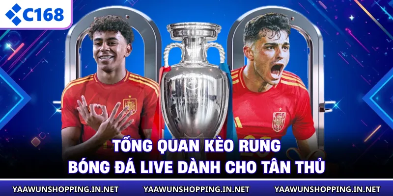 Tổng quan kèo rung bóng đá live dành cho tân thủ
